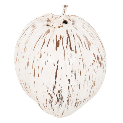 Table Decoration Hm4326.05 Coconut In White Color 20x20x20hcm.