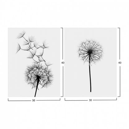 Canvas 2 Piece Set Mdf Dandelion Hm7203.02 60x40x2,7  Cm.