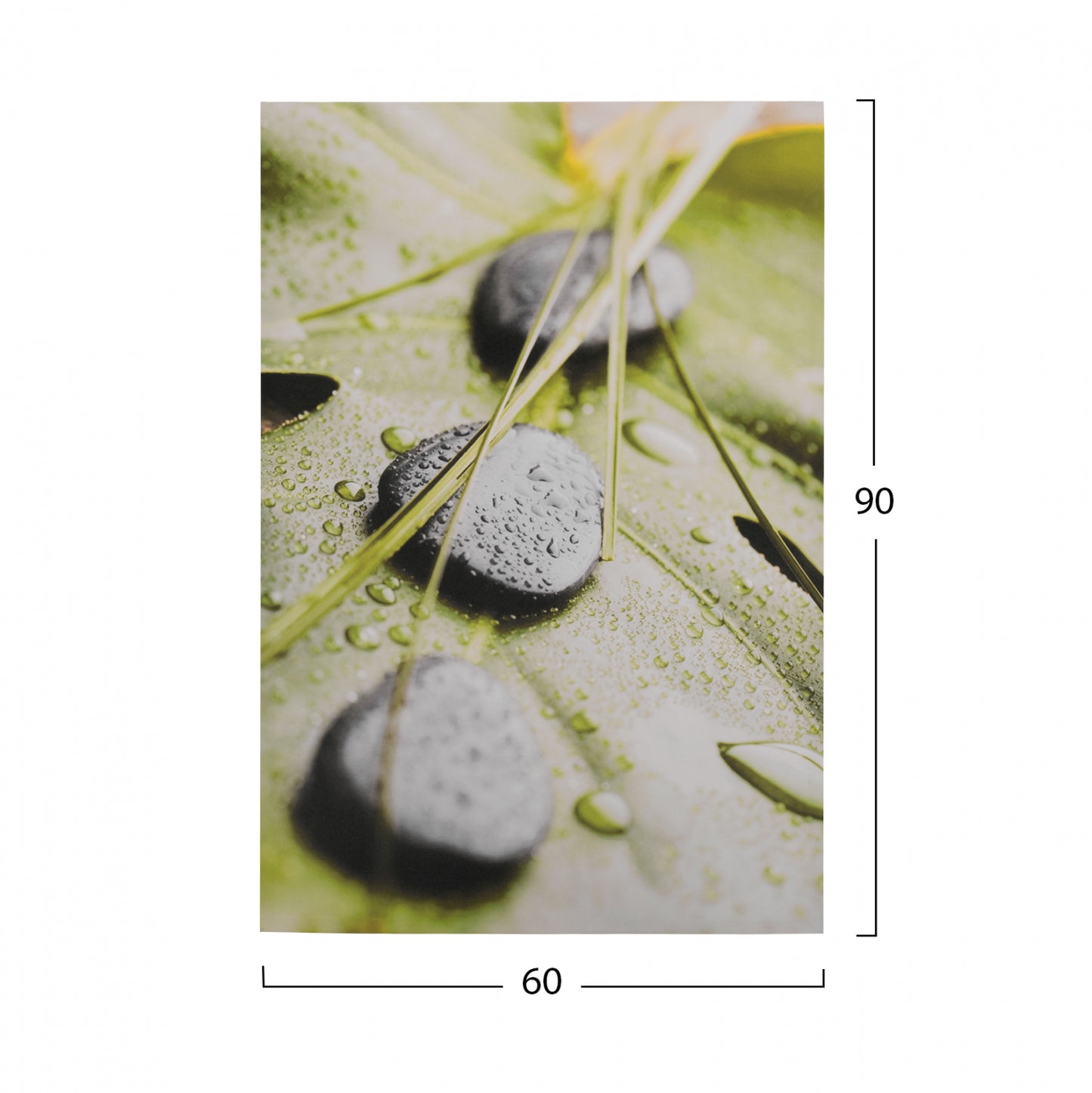 Canvas Stones Hm7154.10 60x90x2.5 Cm.