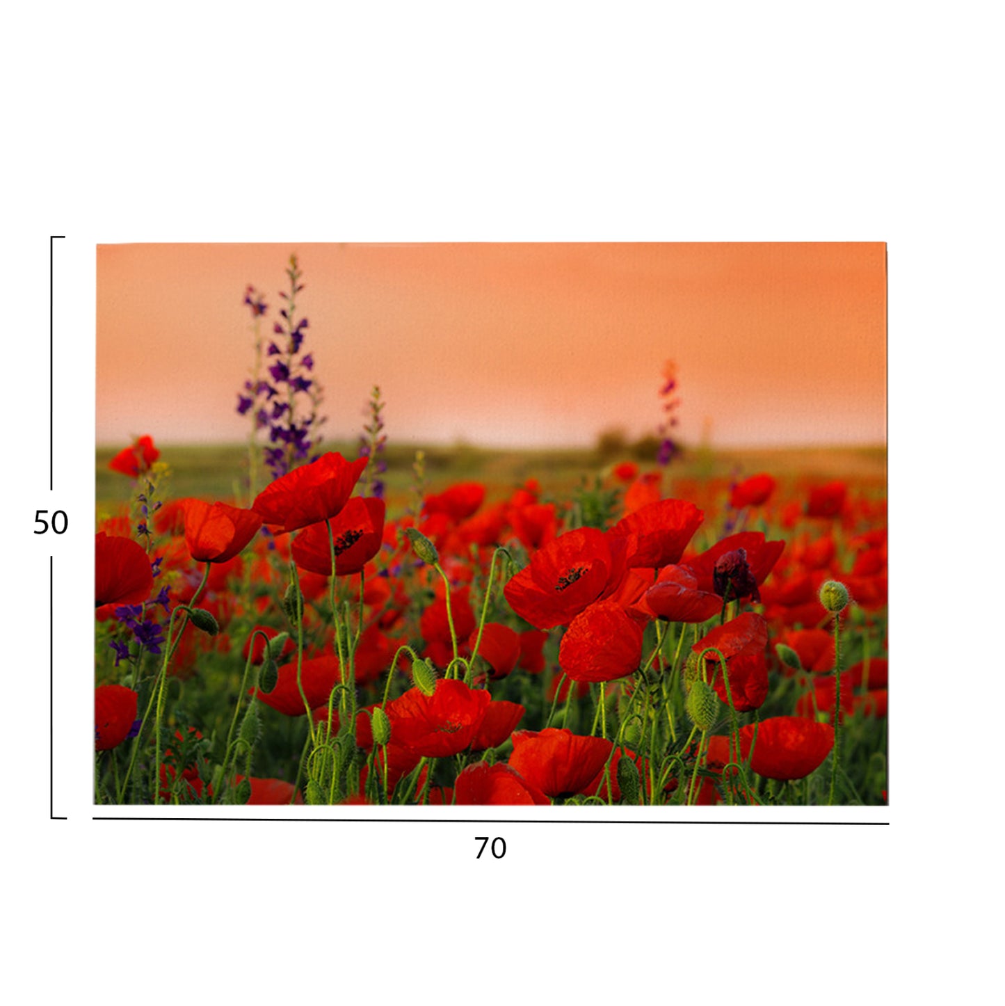 Wall Painting Series Gobi Hm4760 Printed Canvas 70x3(thickness)x50hcm.