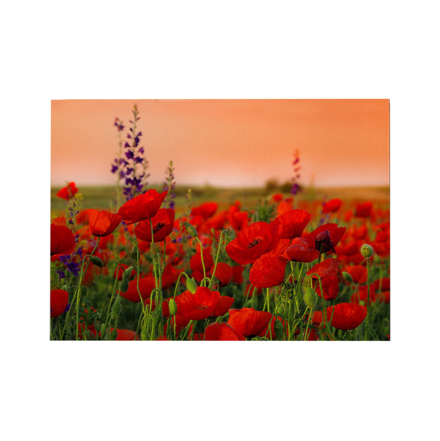 Wall Painting Series Gobi Hm4760 Printed Canvas 70x3(thickness)x50hcm.