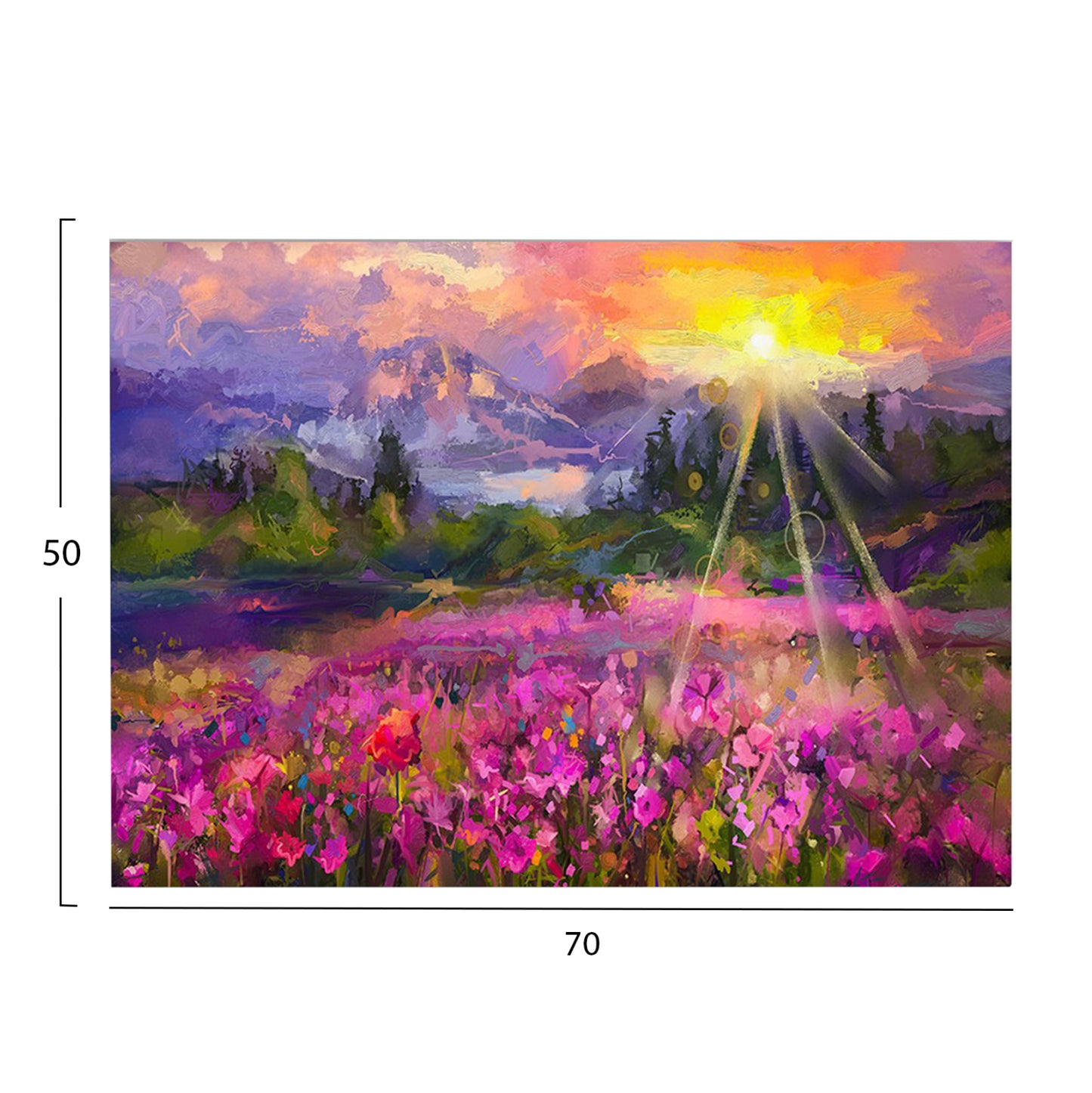 Wall Painting Series Gobi Hm4762 Printed Canvas 70x3(thickness)x50hcm.