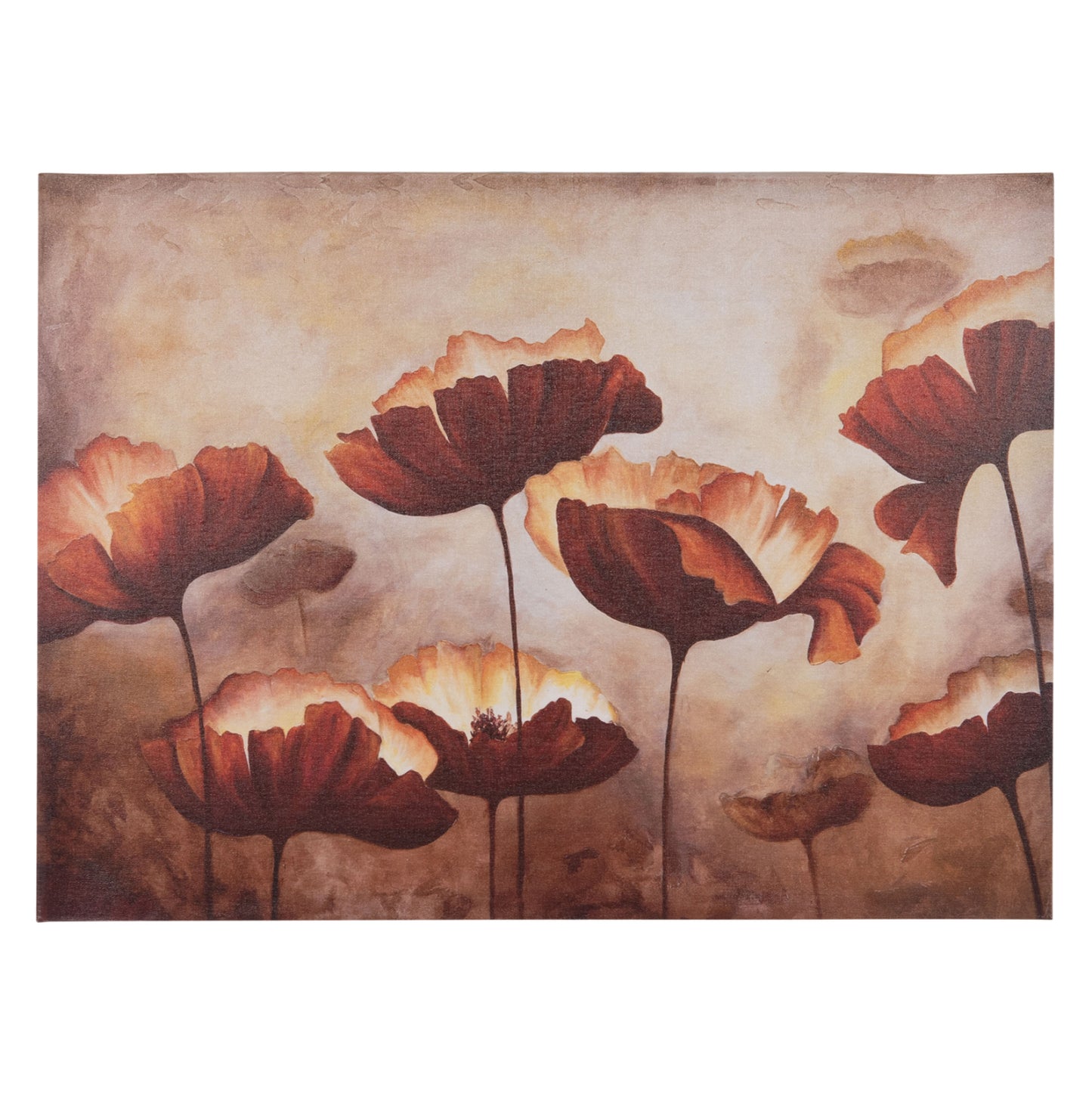 Wall Painting Series Gobi Hm4766 Printed Canvas 68x2,5(thickness)x50hcm.