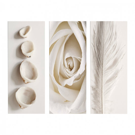 Canvas Three Pieces Mdf Natural Elements Hm7204.05 60x0,3x50 Cm