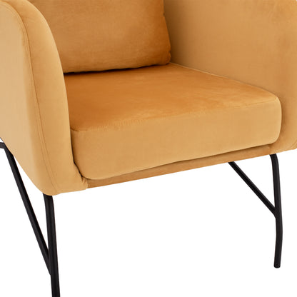 Dania Armchair, Velvet Gold, Metal Black Leg Hm8721.09 67x80x102 Cm.