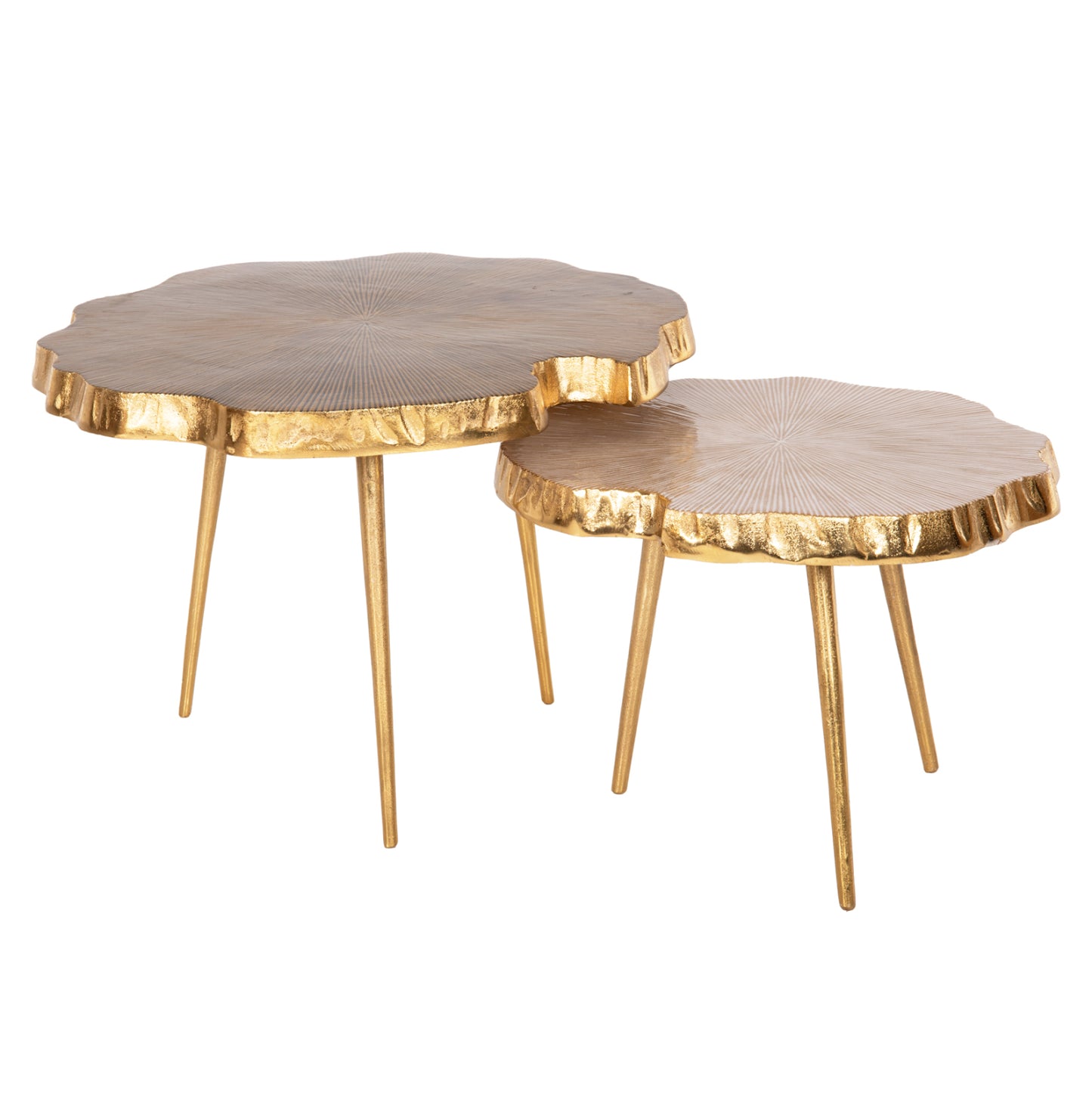 Set 2pcs Coffee Tables Angul Hm10708 Metal In Gold-black-white