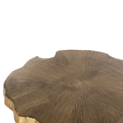 Coffee Table Angul Hm4263 Metal In Gold-black 62x62x44hcm.