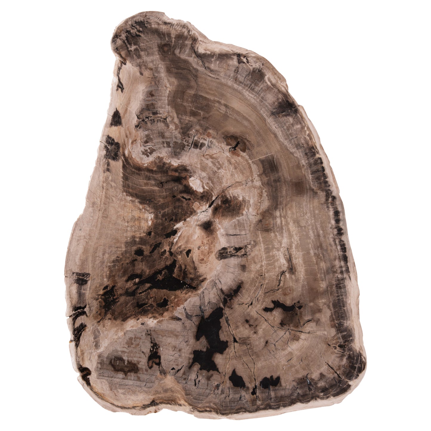 Coffee Table Saman Hm9930 Metal Black Legs-petrified Wood Top 76x53x45hcm.